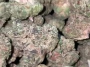 Teen giving head 14/16