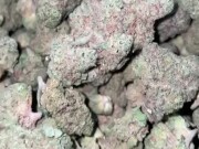 Teen giving head 4/16