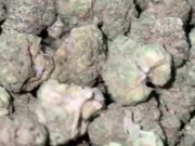 Teen giving head 9/16