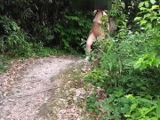 山の中から全裸で・・・ - Screenshot 1 of 16 - HD