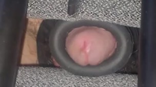 When The Streamer Is Away Straight Edge Chair Will Slay Kappa Dangling Close Up Cock Twink Shorties