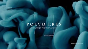 Te explico todo sobre las polaridades en mi master class 🚀