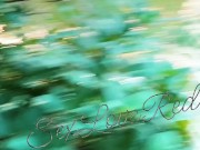 Nice Day At The Park to Masterbate 8/16