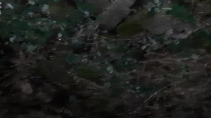 Our public hot mutual masturbation - IkaSmokS