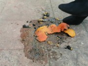 Today it's time to crush my slave so much, a fruit.. 10/16