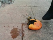 Today it's time to crush my slave so much, a fruit.. 8/16