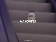 Mayonesa subiendo la escalera 15/16