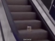 Mayonesa subiendo la escalera 3/16