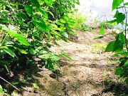 Sensual Sex in the african jungle