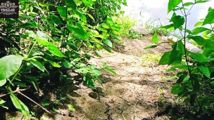 Sensual Sex in the african jungle