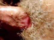 Amazone und Anaconda 10/16