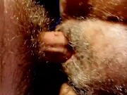 Amazone und Anaconda 15/16