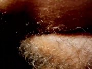 Amazone und Anaconda 2/16