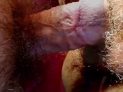 Amazone und Anaconda 9/16