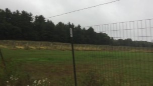 No Store, Dressing Room or Vineyard is Safe! (Preview)