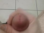 Fucking Blue Balls Would Not Go Soft, Public Bathroom stall Edged Cock Ejaculating Cum 4/16