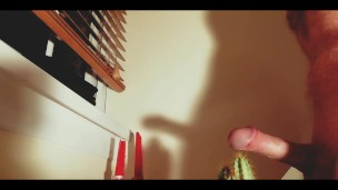 Stay Hard Challenge - Cactus! Big Cock Kink