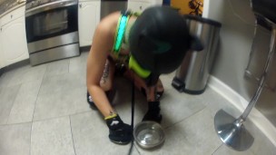 My Omega Puppy Playing With His Toys and Eating Out of His Bowl