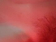 POV Real Couple Homemade Reverse Cowgirl Big Cock 8/16
