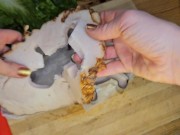 My Delicious Tommy Turkey Sends a Package 2/16