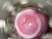 Crazy Male Masturbator. Sweet cum 13/16