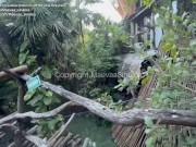 VLOG TULUM - Risky fuck on the terrace of my hotel room 3/16