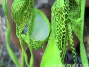 Bikini try on haul 4/16