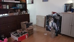 Gaping my fuckmeat open.