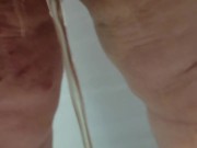 Chubby Bunny pees on owner 10/16