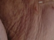 Chubby Bunny pees on owner 11/16