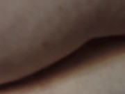 Chubby Bunny pees on owner 5/16