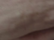 Chubby Bunny pees on owner 6/16