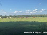 I masturbate in the field while the cows watch me 1/16