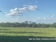 I masturbate in the field while the cows watch me 16/16