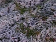 Intimate Side-of-the-road Pee at Sunset 5/16