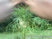 I water the plants  while pissing outside 3/16