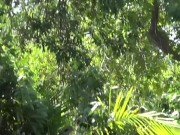 Beautiful stepdaughter will beg her stepdad to fuck her harder 1/16