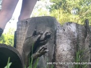 Girl uses a log as a toilet to pee 5/16