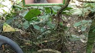 Whispers in the Morning Hush