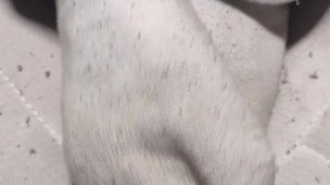 Feet in Fabric