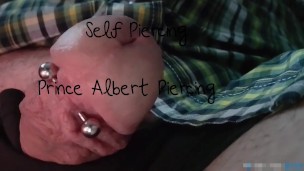 Self Piercing Prince Albert