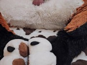 play with @AngryBarks Dogs must be !
