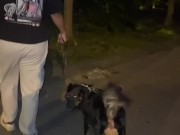 Me encontre la esposa de mi amigo el se fue a trabjar y la  invite a follar dijo que si