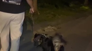 Me encontre la esposa de mi amigo el se fue a trabjar y la invite a follar dijo que si