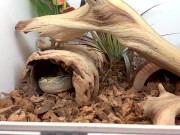 Enclosure Cleaning 15/16