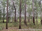 I Pull Down My Pants and Pee Hidden Among the Trees While People Pass by on the Road 15/16