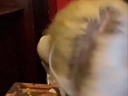 hot blonde milf licks cream on hot chocolate in front of everyone in the cafe 14/16