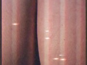 linda chica baila mientras te masturbas 12/16