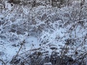 Quick sex in the toilet on the street - IkaSmokS