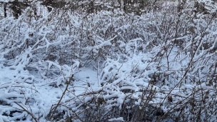 Quick sex in the toilet on the street - IkaSmokS